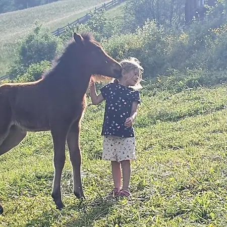 Appartement Fenzhof Schladming