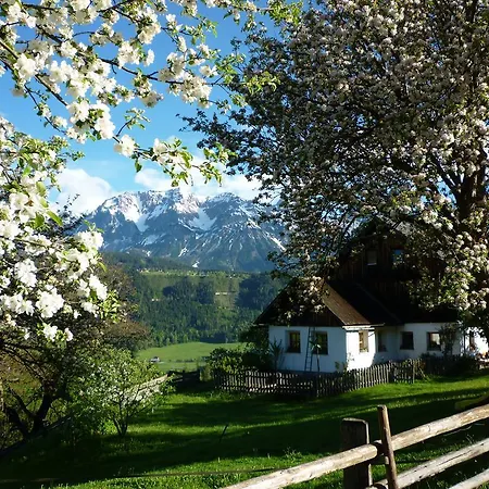 Fenzhof アパート