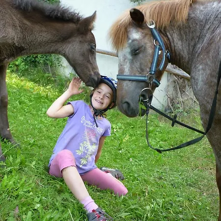 Fenzhof Apartment Schladming