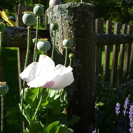 Apartment Fenzhof Schladming