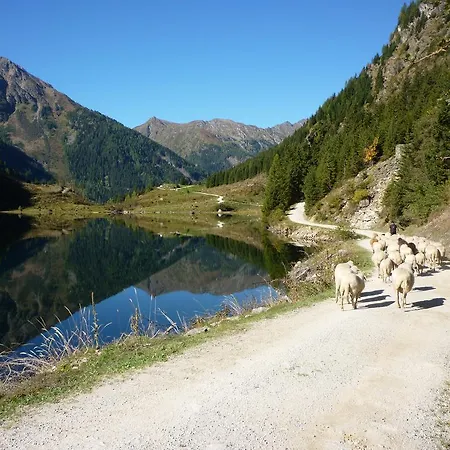 アパート Fenzhof