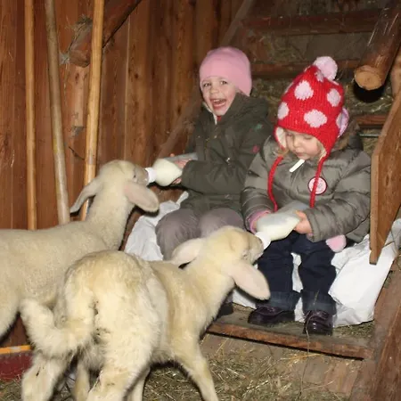 Fenzhof アパート シュラートミンク