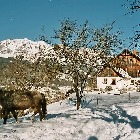 Fenzhof Appartement *