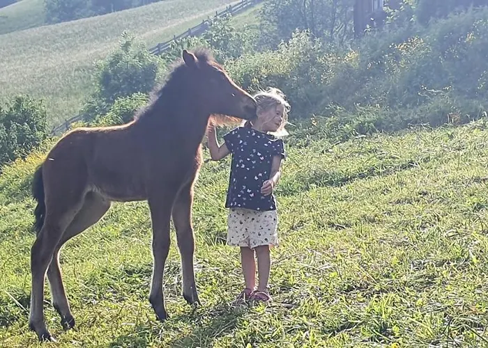 Appartement Fenzhof Schladming