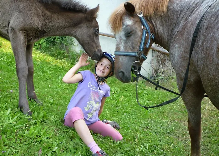 Fenzhof Apartment Schladming