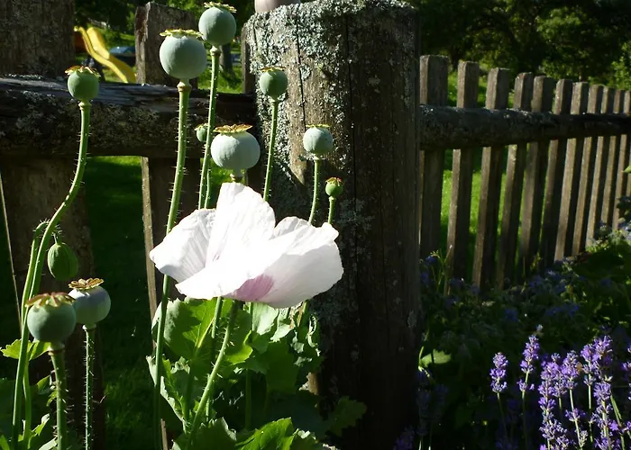 Lejlighed Fenzhof Schladming