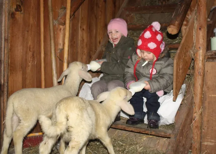 Fenzhof Lejlighed Schladming