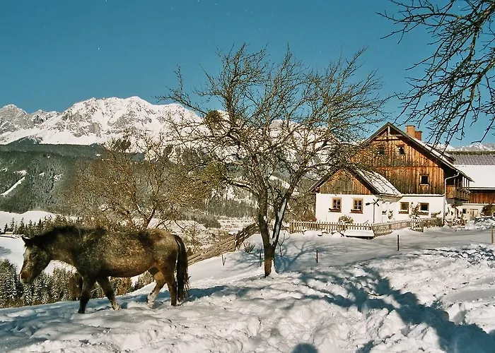 Fenzhof Apartament *